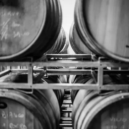 Alloggio per agriturismo Ridaroca San Damiano dʼAsti