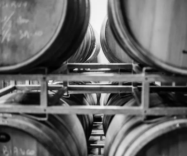 Feriegård Ridaroca San Damiano dʼAsti